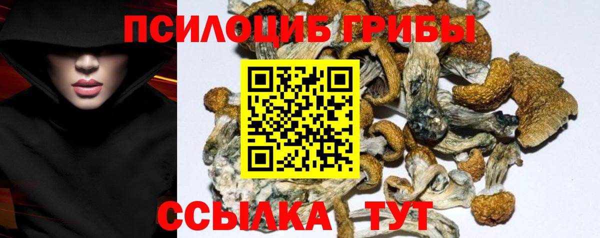 Псилоцибиновые грибы Magic Shrooms Лесозаводск